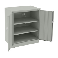Armoire &agrave; hauteur de comptoir de luxe, Acier, 2 Tablettes, 42" h x 36" la x 24" P, Gris p&acirc;le The Estey Group