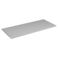 Extra Cabinet Shelf, 36" x 24", 200 lbs. Capacity, Steel, Light Grey The Estey Group