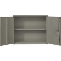 Wall Mounted Cabinet, Steel, 2 Shelves, 30" H x 36" W x 12" D, Grey The Estey Group
