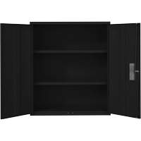 Lo-Boy Storage Cabinet, Steel, 2 Shelves, 42" H x 36" W x 18" D, Black The Estey Group