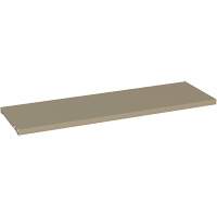 Additional Shelf for 88 Series Cabinets, 36" x 18", 150 lbs. Capacity, Steel, Beige The Estey Group