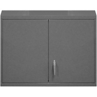 Wall-Mounted Cabinet, 27" H x 29-7/8" W x 13-11/16" D, 2 Shelves, Steel, Grey The Estey Group