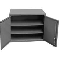 Wall-Mounted Cabinet, 27" H x 13-11/16" W x 35-7/8" D, 2 Shelves, Steel, Grey The Estey Group