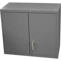 Wall-Mounted Cabinet, 27" H x 13-11/16" W x 35-7/8" D, 2 Shelves, Steel, Grey The Estey Group
