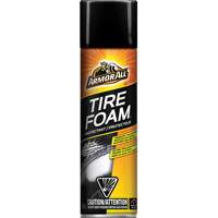 Tire Foam&reg; Protectant The Estey Group