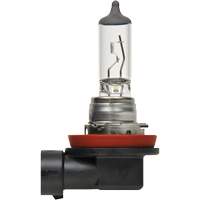 Ampoule de base pour feu avant H8, Halog&egrave;ne, 35 W, Blanc cass&eacute; The Estey Group