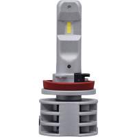 Ampoule pour feu avant H11, DEL, 13,2 W/17 W, Blanc The Estey Group