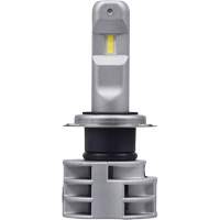 Ampoule pour feu avant H7, DEL, 13,2 W/17 W, Blanc The Estey Group