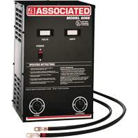Powerful Performance Parallel Battery Charger The Estey Group