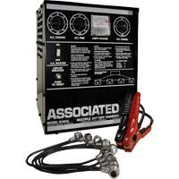 Multi-Battery Series Charger The Estey Group