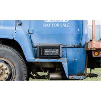 Survolteur pour batterie GB250+ Boost Max The Estey Group