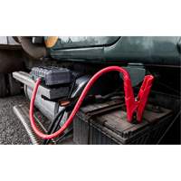 Survolteur pour batterie GB251+ Boost Max The Estey Group