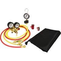 Automotive A/C Nitrogen Leak Test Kit with Regulator The Estey Group