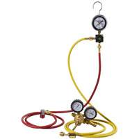 Automotive A/C Nitrogen Leak Test Kit with Regulator The Estey Group