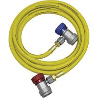 R134a A/C System Flush Hose Assembly The Estey Group