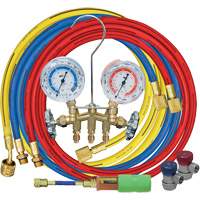 Manifold Gauge Set with Manual Couplers & Mini Dye Injector The Estey Group