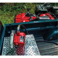 Pompe de transfert de carburant 12 V CC avec pistolet The Estey Group