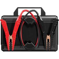 V4000 HD 12V/24V 4000A Jump Starter The Estey Group