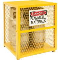 Gas Cylinder Cabinets