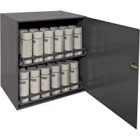 Aerosol Storage Cabinet, Steel, 21-7/8" H x 15-15/16" W x 20-5/16" D, Grey The Estey Group