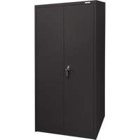 Storage Cabinet, Steel, 4 Shelves, 66" H x 30" W x 15" D, Black The Estey Group