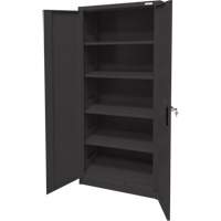 Storage Cabinet, Steel, 4 Shelves, 66" H x 30" W x 15" D, Black The Estey Group