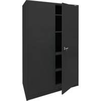 Storage Cabinet, Steel, 4 Shelves, 78" H x 48" W x 24" D, Black The Estey Group