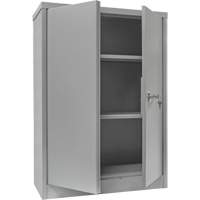 Counter-High Storage Cabinet, Steel, 2 Shelves, 42" H x 48" W x 24" D, Grey The Estey Group