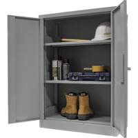 Counter-High Storage Cabinet, Steel, 2 Shelves, 42" H x 48" W x 24" D, Grey The Estey Group