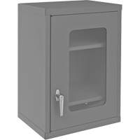 Wall-Mountable Storage Cabinet with Clearview Doors, 26-15/16" H x 18-1/8" W x 13-11/16" D, 2 Shelves, Steel, Grey The Estey Group