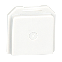 BW Gas Detector Dummy Sensor for Toxic Location The Estey Group