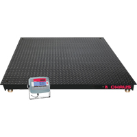 Pallet Scales
