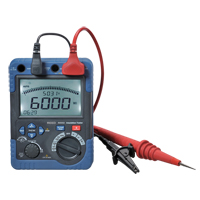 Insulation Resistance Tester, Digital The Estey Group