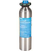 Gaz d'essai d'&eacute;talonnage, 1 M&eacute;lange de gaz, H2S, 34 litres The Estey Group