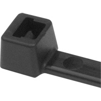 Attaches de c&acirc;ble PA66, Longueur 5-1/2", R&eacute;sistance &agrave; la traction 18 lb, Noir The Estey Group