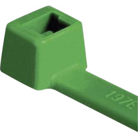 Attaches pour c&acirc;ble PA66 homologu&eacute;es UL, Longueur 4", R&eacute;sistance &agrave; la traction 18 lb, Vert The Estey Group