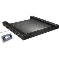 Defender 2500 Drum Scale, 500 lbs. Capacity, 2.5' L x 2.5' W The Estey Group