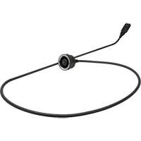 Thermal 160 × 120 MSX&reg; Camera Probe with Rectangular Tip The Estey Group