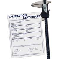 Pied &agrave; coulisse num&eacute;rique avec certificat de traçabilit&eacute;, R&eacute;solution de 0,0005" (0,01 mm), 0" - 12" (0 mm - 300 mm) gamme de mesure The Estey Group