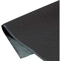 ColorStar Matting, Wiper, 3' x 5' x 3/8", Charcoal The Estey Group