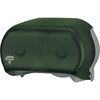 Twin Toilet Paper Dispenser, Multiple Roll Capacity The Estey Group