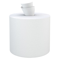 Everest Pro Paper Towel Rolls, 2 Ply, Centre Pull, 500' L The Estey Group