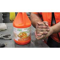 Orange Hand Cleaner, Pumice, 3.6 L, Jug, Orange The Estey Group