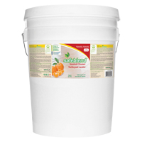 Neutral Cleaner, 20 L, Pail The Estey Group