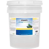 Dynamite Odourless Stripper & Degreaser, 20 L, Pail The Estey Group