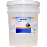 D&eacute;graissant industriel Power Lift, 20 L, Seau The Estey Group