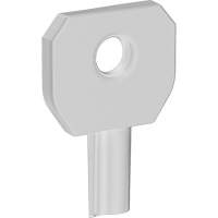 Lock or Not Dispenser Key The Estey Group
