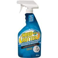 Mold and Mildew Spray, 650 ml, Trigger Bottle The Estey Group