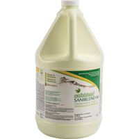 Nettoyant d&eacute;sinfectant concentr&eacute; SaniBlend 66, 4 L, Cruche The Estey Group