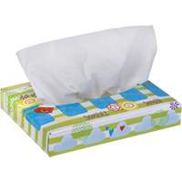 Kleenex&reg; Junior Facial Tissues, 2 Ply, 8.4" L x 5.5" W, 40 Sheets/Box The Estey Group